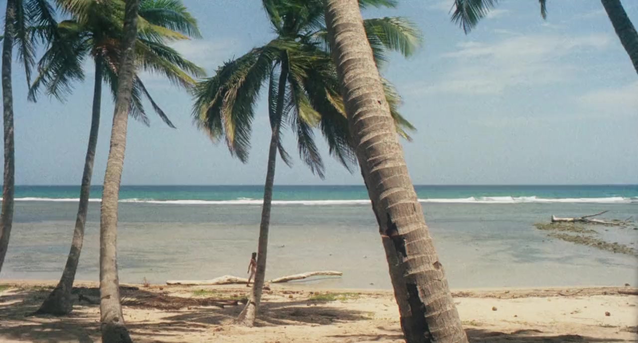Papaya dei Caraibi screenshot 3