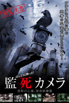 Paranormal Surveillance Camera (2012) poster