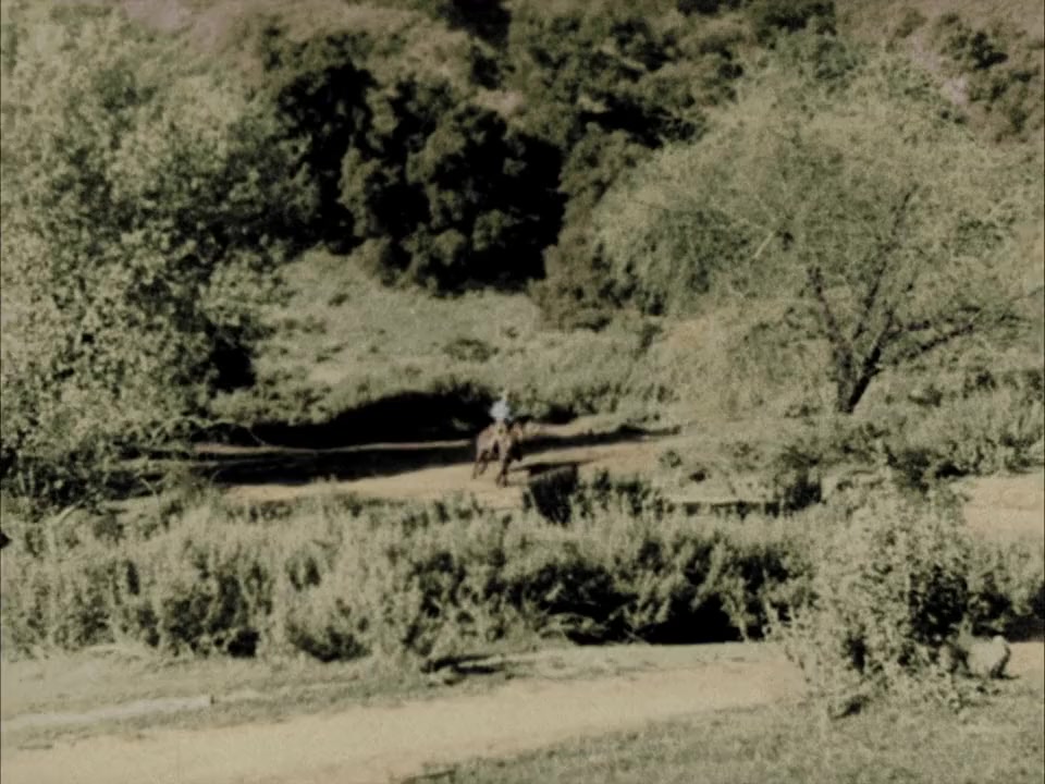 Paradise Canyon screenshot 2