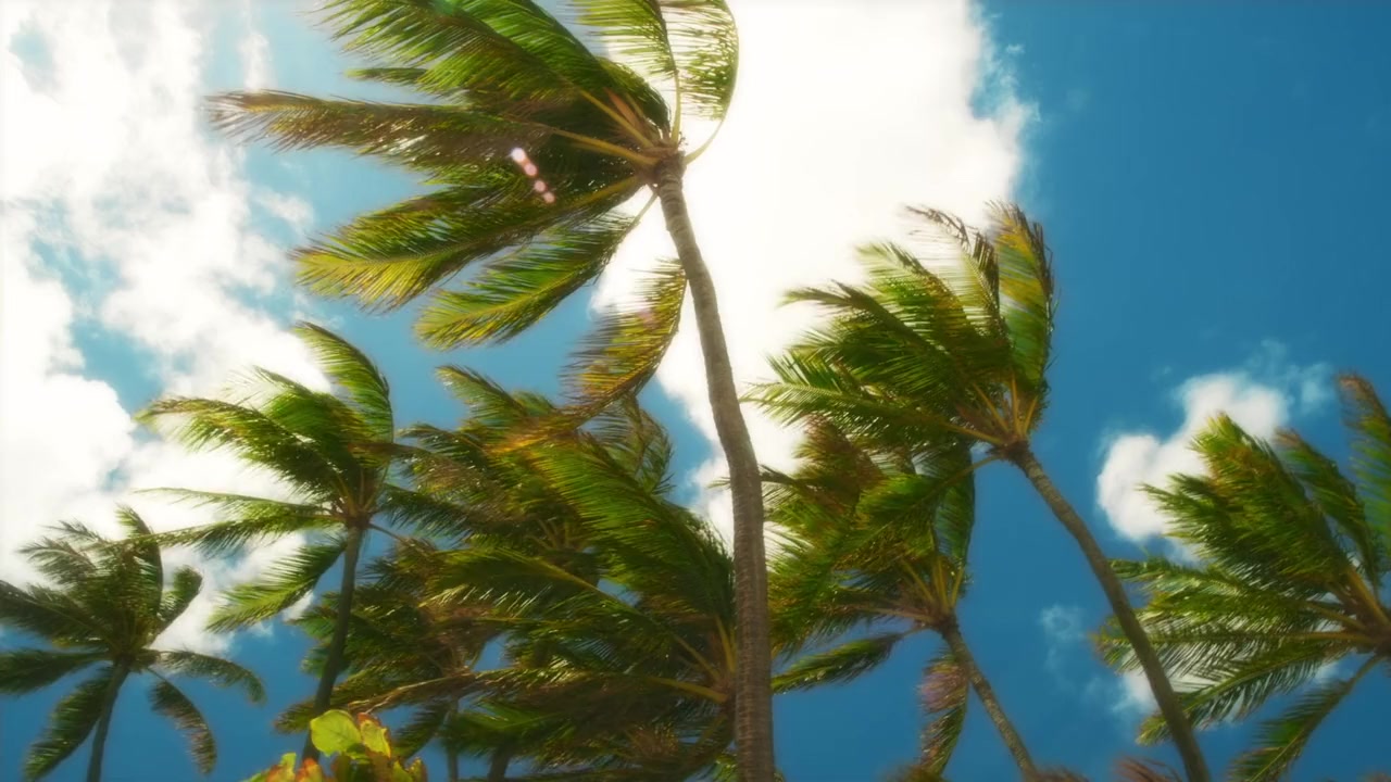 Paradise Broken screenshot 1