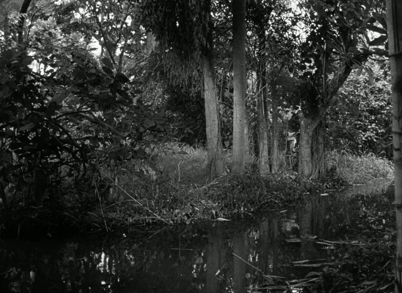 Paradise of Terror screenshot 1