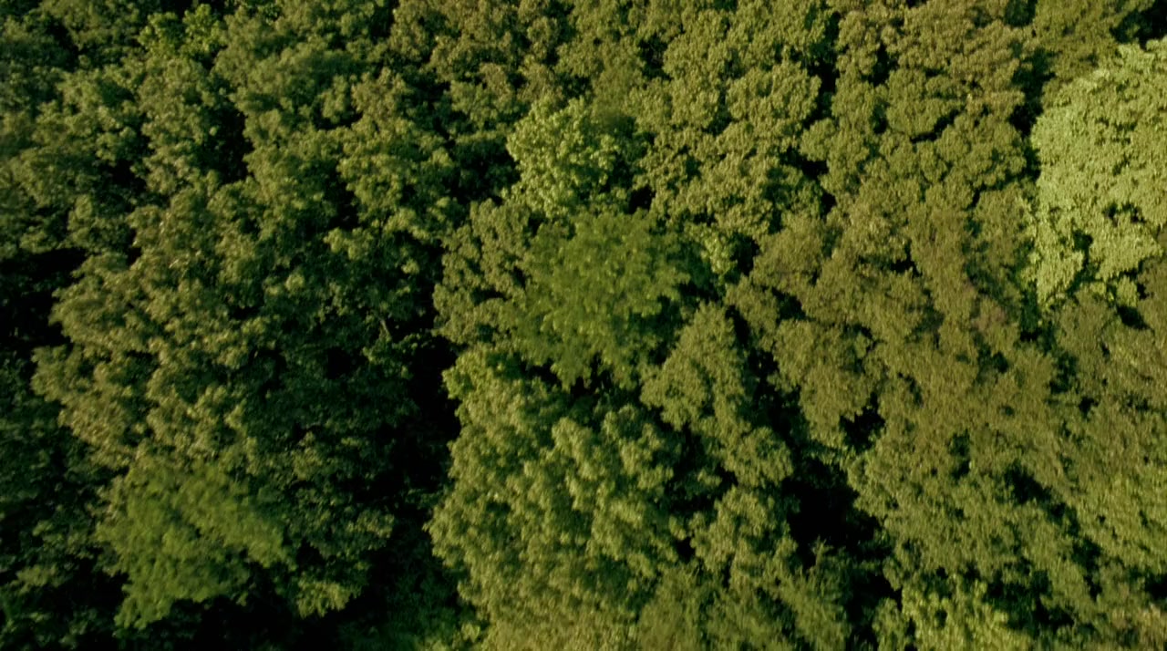 Paradise Lost 3: Purgatory screenshot 1