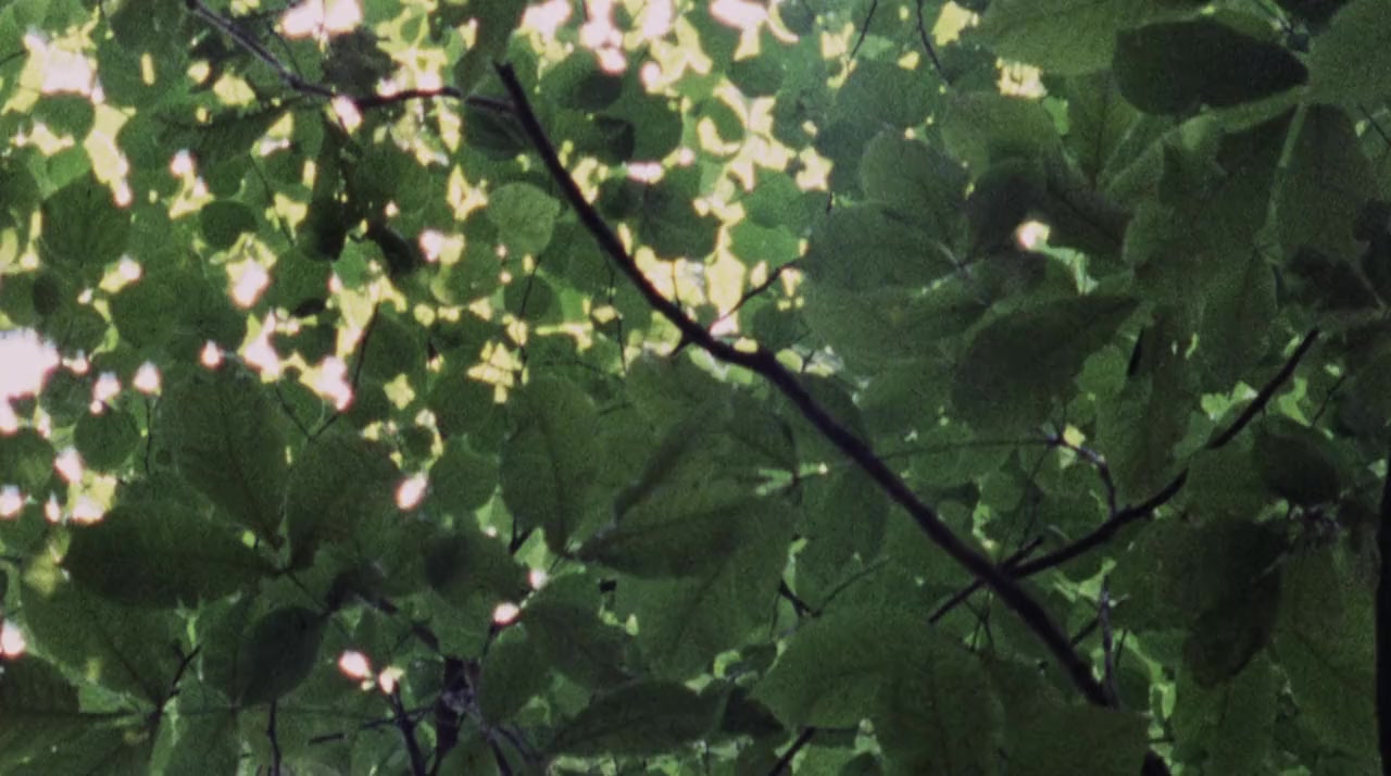 Paradise Lost 3: Purgatory screenshot 3