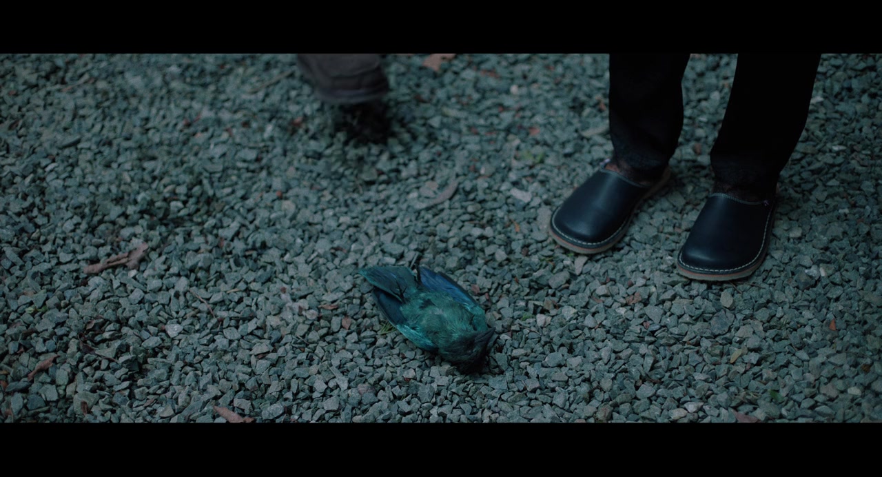 Parallel screenshot 1
