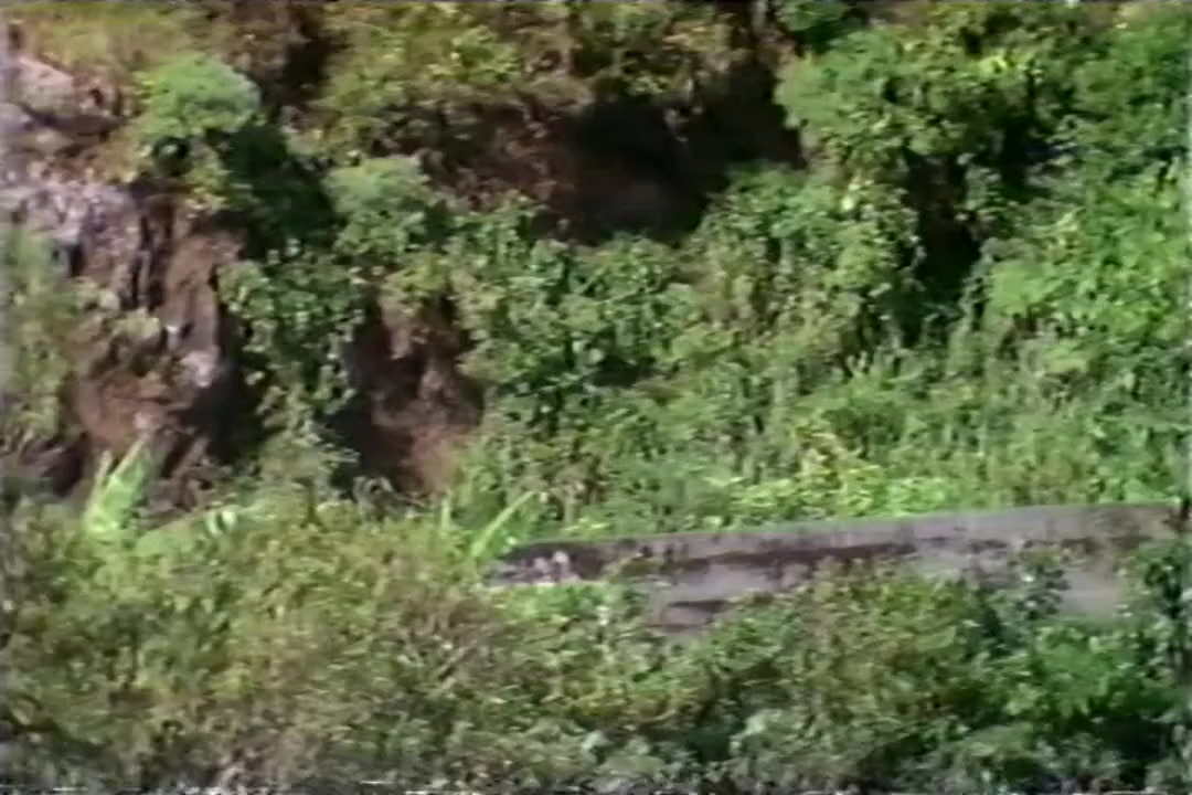 Parent Trap: Hawaiian Honeymoon screenshot 1
