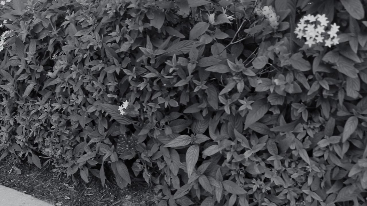 Parkland: Inside Building 12 screenshot 1