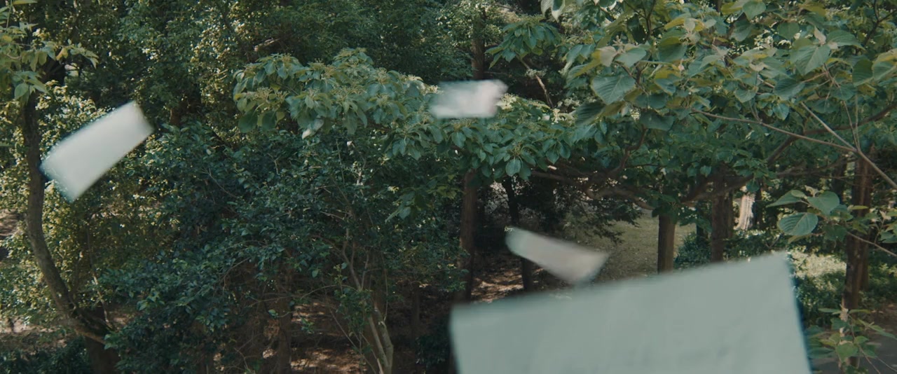 Pâkusu screenshot 1