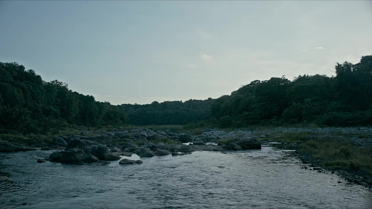 Perejil screenshot 3