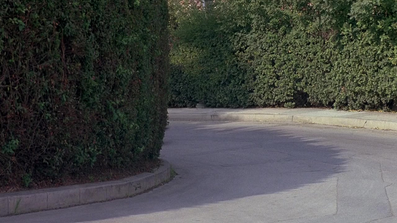 Partners screenshot 1