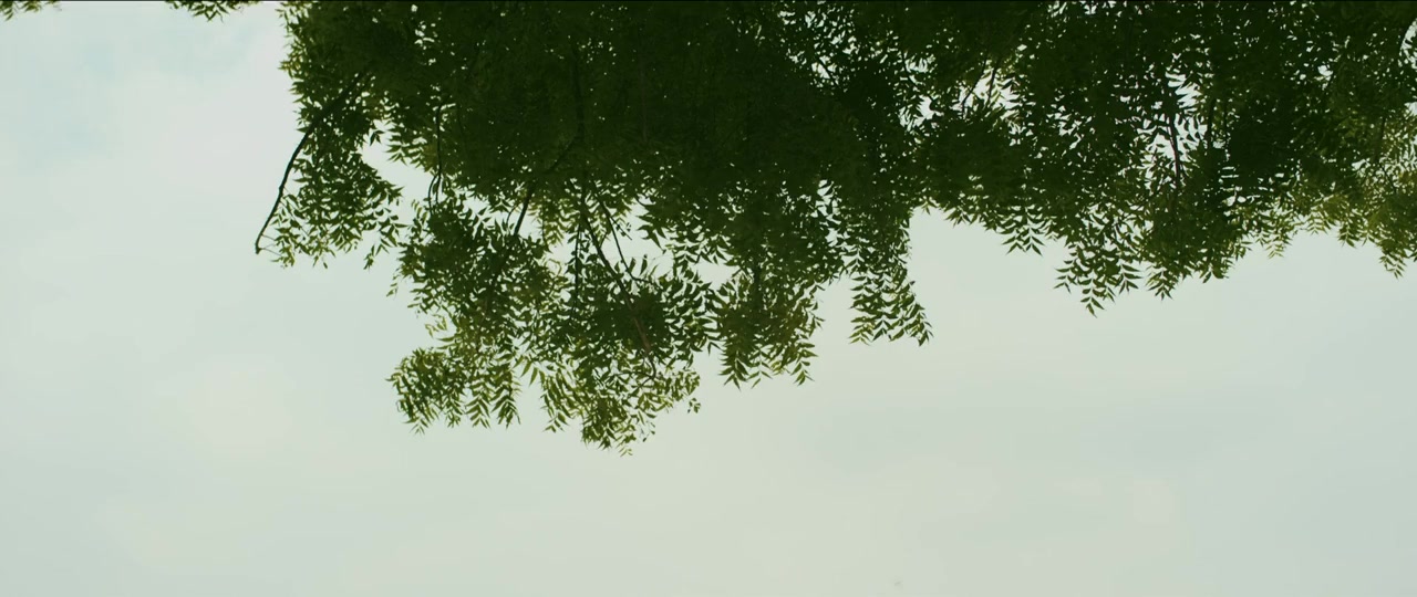 PB0931 screenshot 2