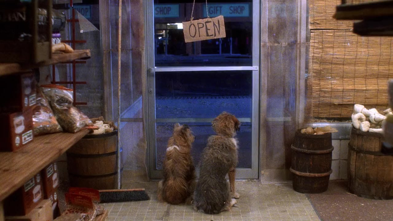 Pet Shop screenshot 1