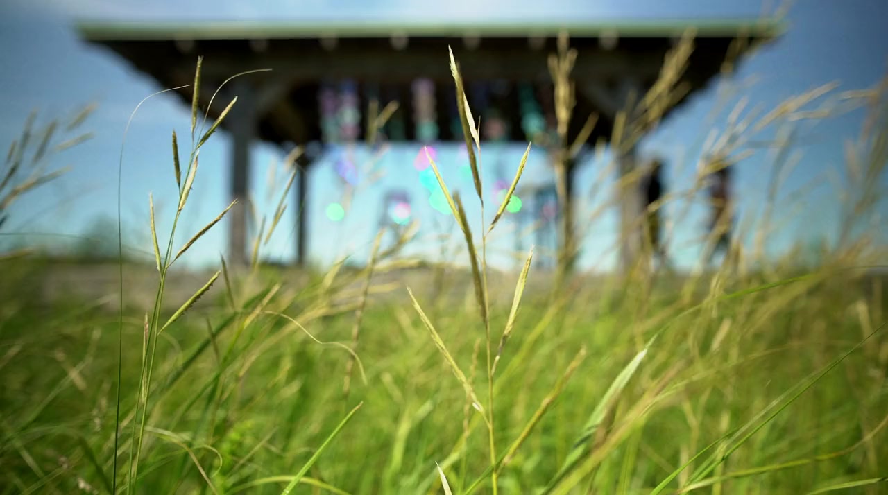Petal & Moth screenshot 2