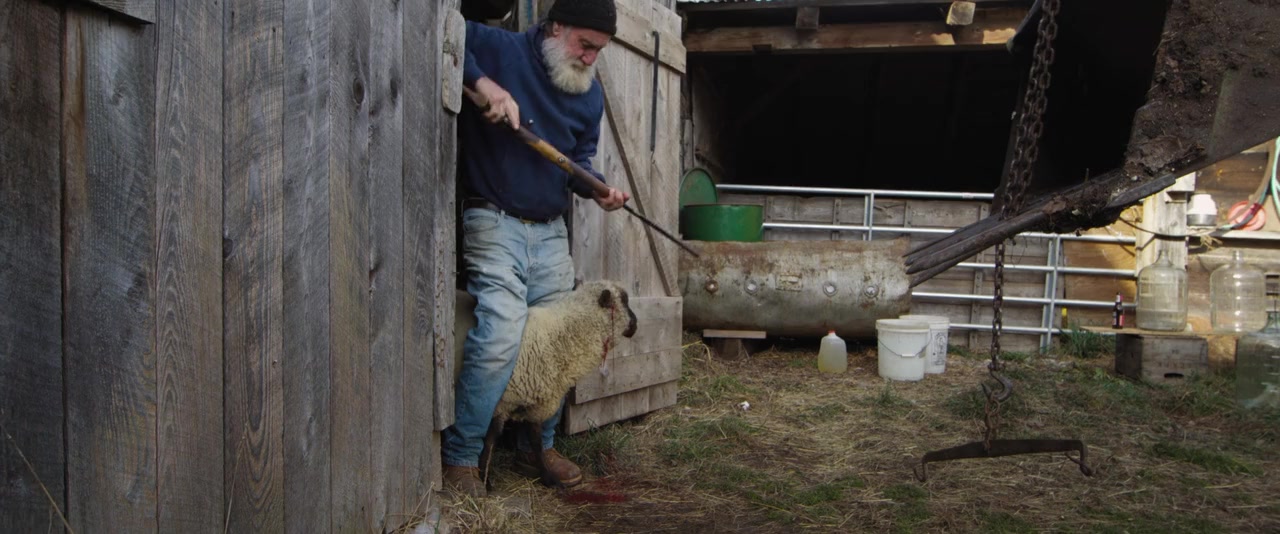 Peter and the Farm screenshot 1