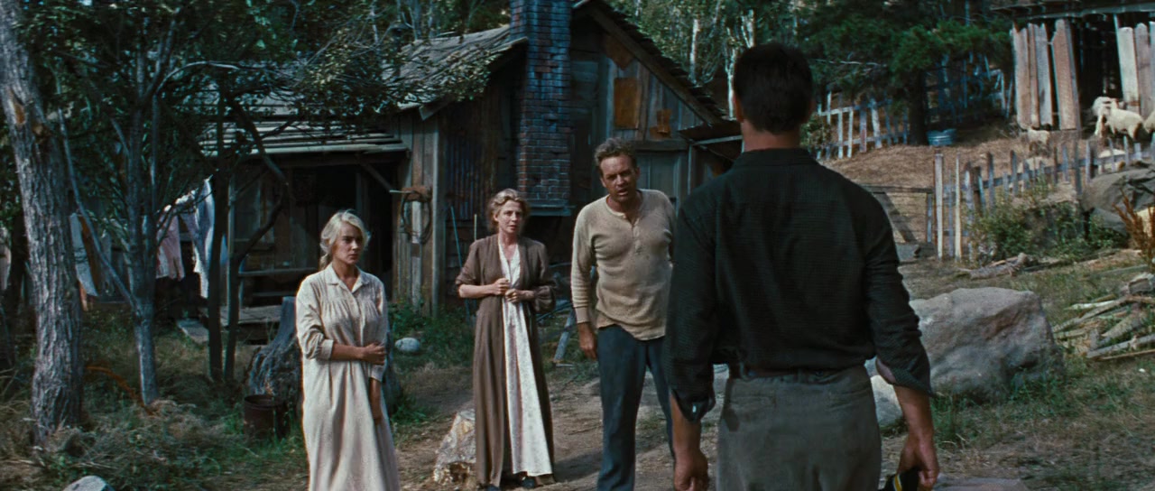 Peyton Place screenshot 2