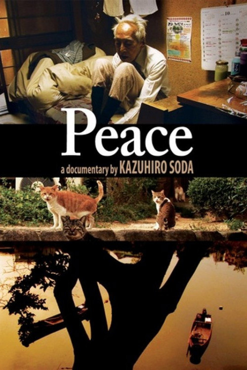 Peace (2010) poster
