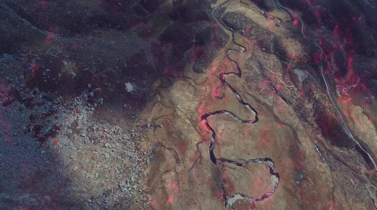 Pearl Jam: Gigaton Theater Experience screenshot 1