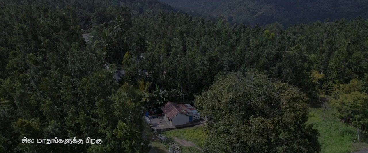 Pechi screenshot 1