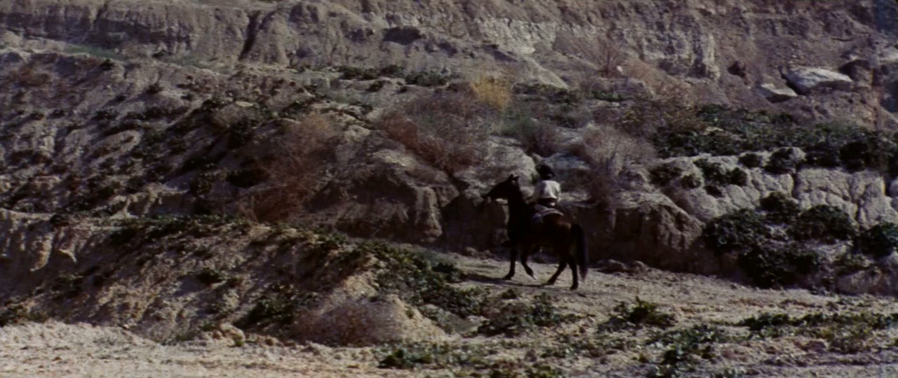 Pecos è qui: prega e muori! screenshot 1