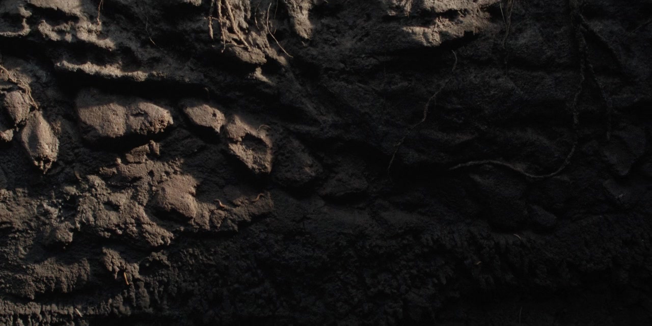 Pedro Páramo screenshot 1