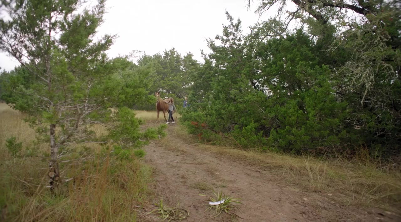 Pegasus: Pony with a Broken Wing screenshot 1