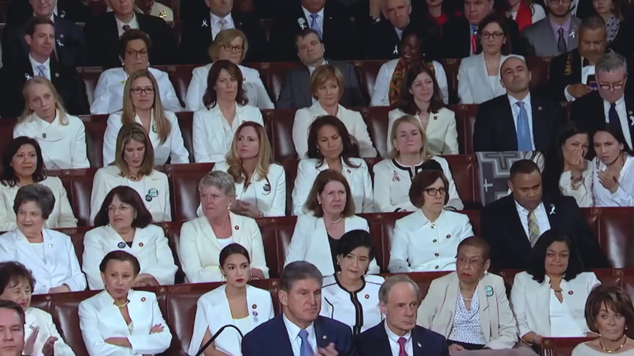 Pelosi in the House screenshot 1