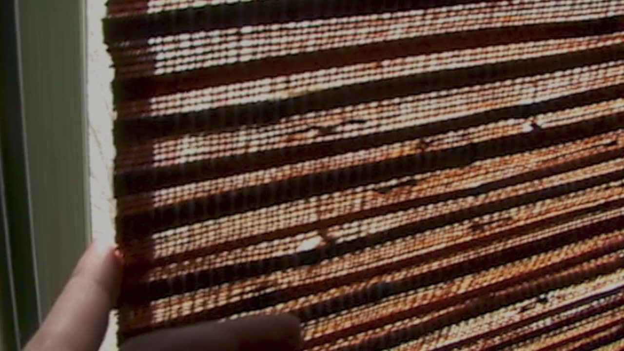 Pelosi in the House screenshot 3