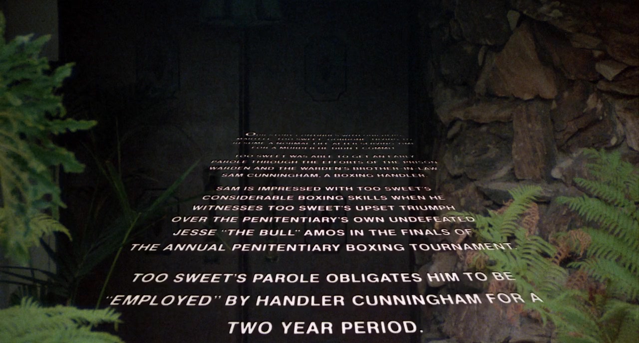 Penitentiary II screenshot 1