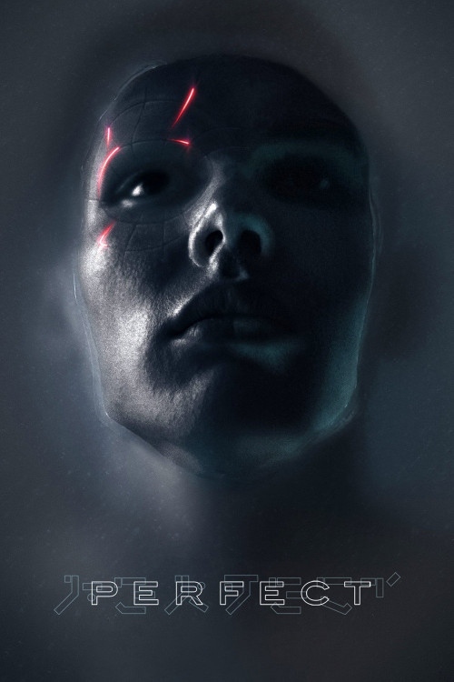 Perfect (2018) poster