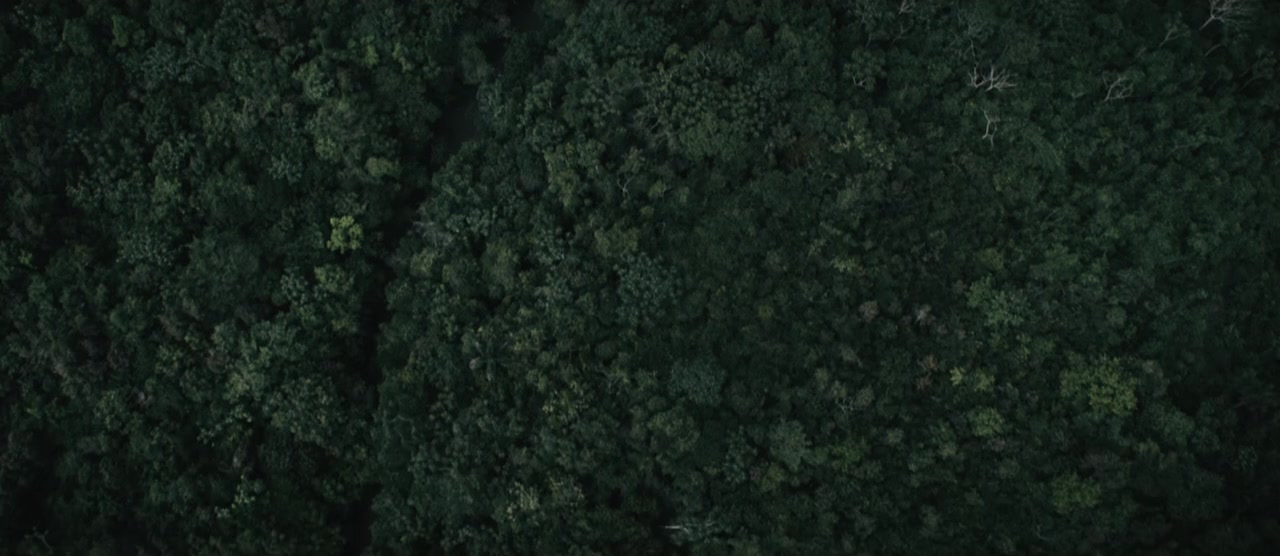 Perfect screenshot 2