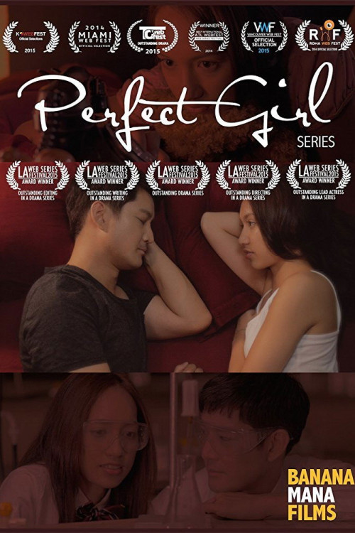 Perfect Girl (2014) poster