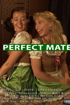 Perfect Mate (2017) poster
