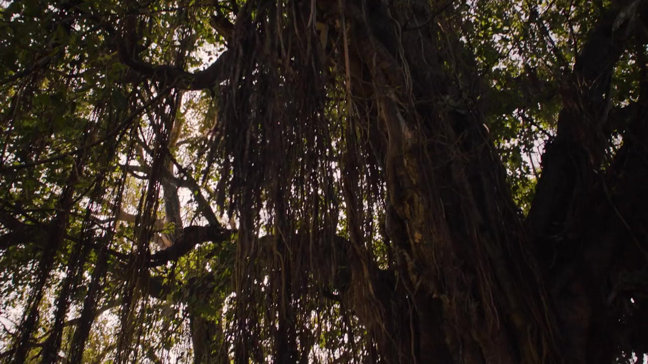 Period. End of Sentence. screenshot 1
