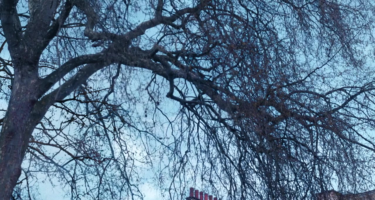 Phantom Thread screenshot 1