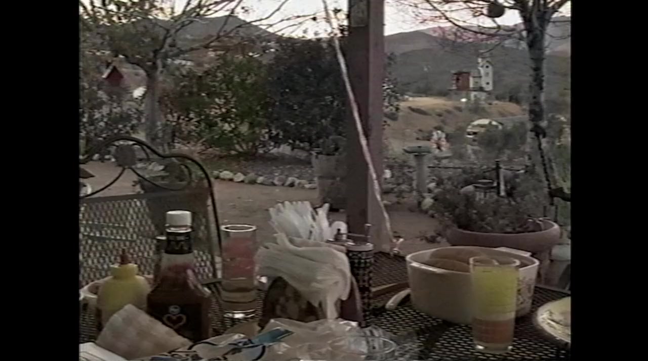 Phoenix Forgotten screenshot 1