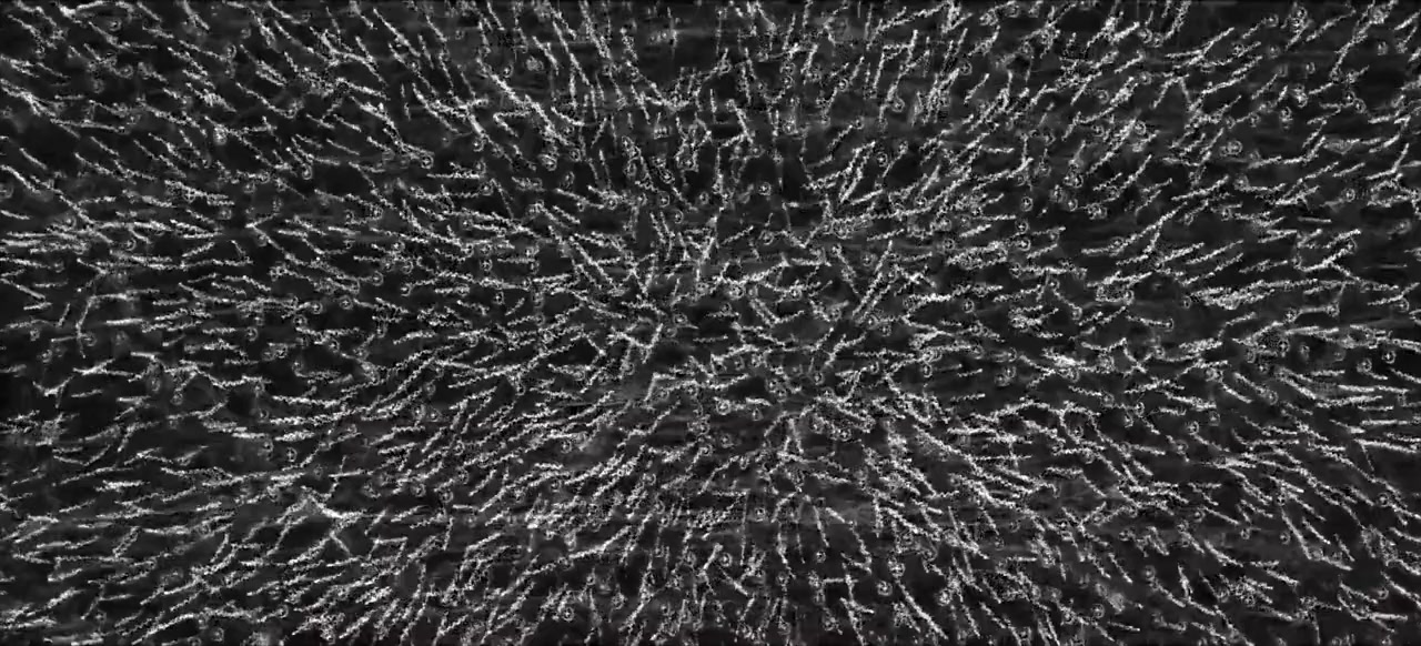 Photon screenshot 2
