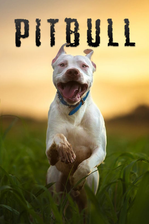 Pitbull (2018) poster