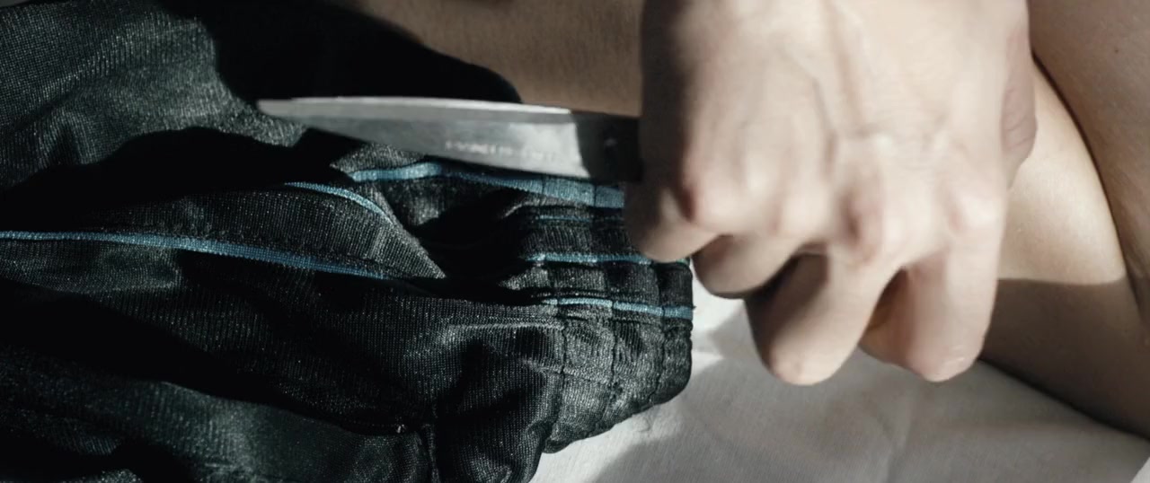 Pitbull. Niebezpieczne kobiety screenshot 2