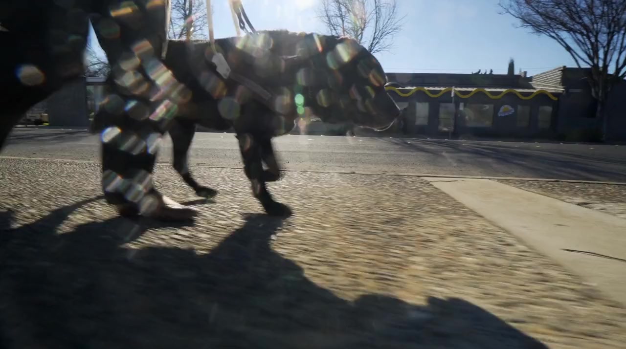 Pick of the Litter screenshot 3