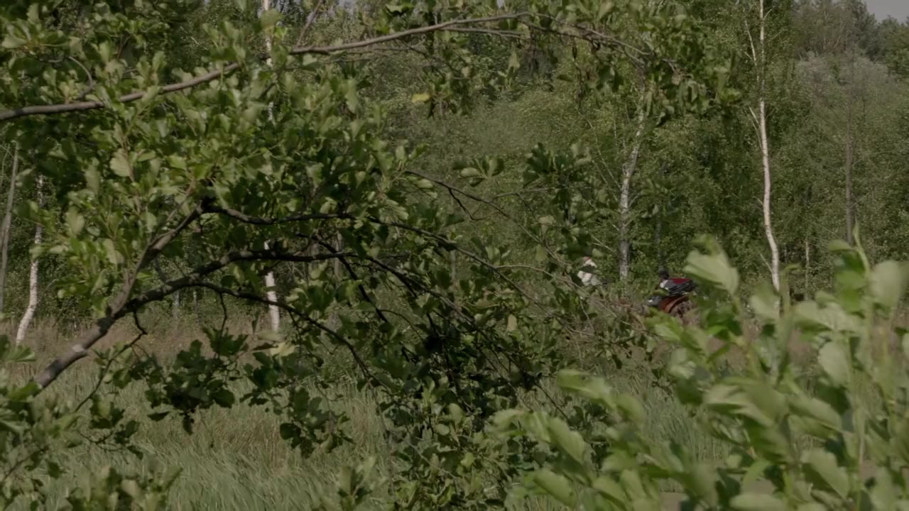 Picture of Beauty screenshot 2