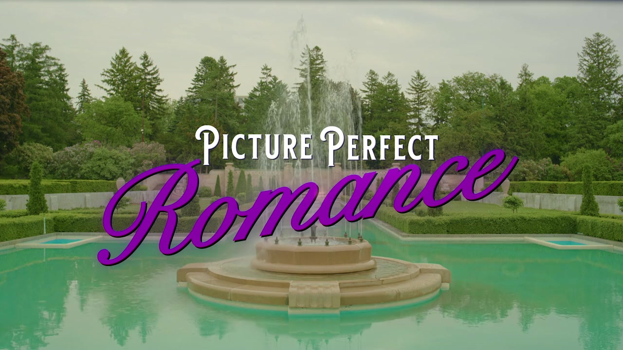 Picture Perfect Romance screenshot 1