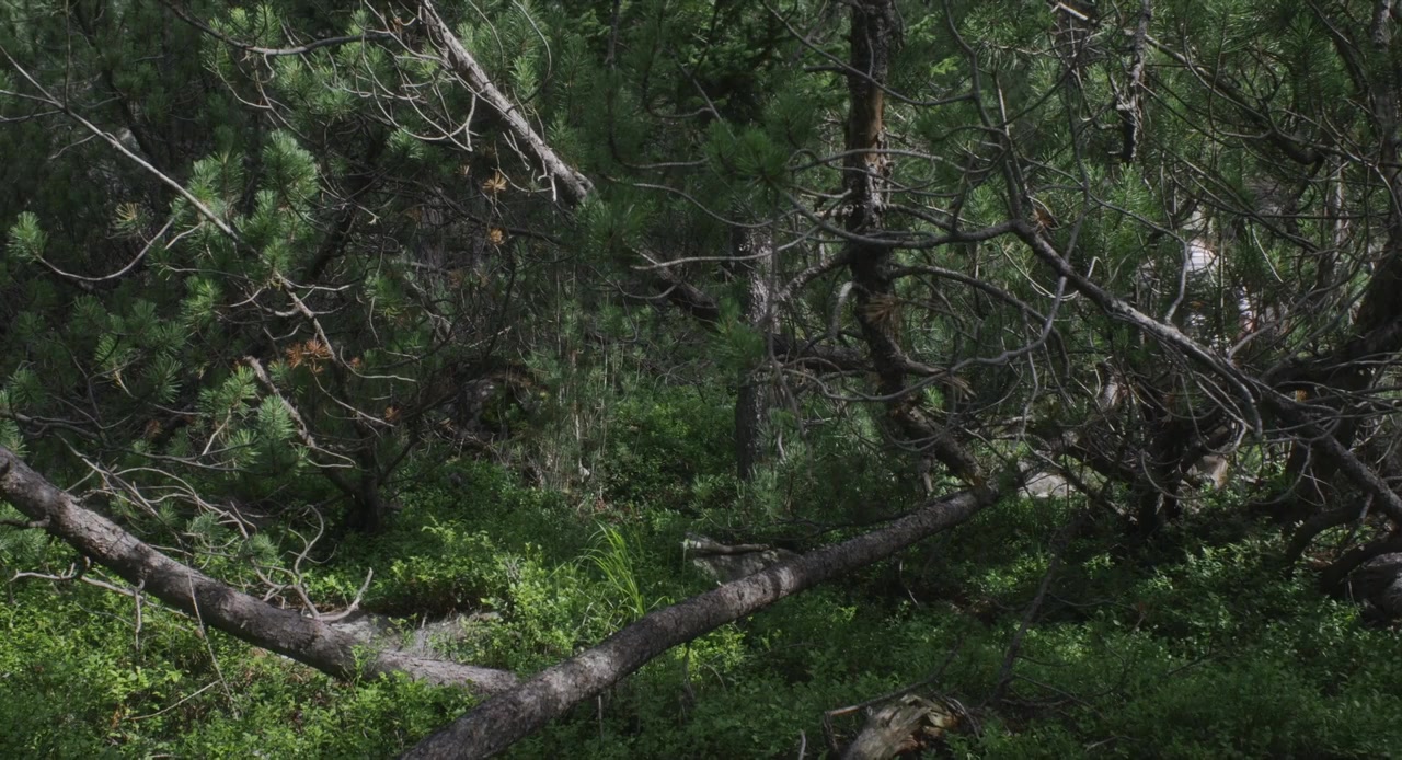 Pietra tenera screenshot 1