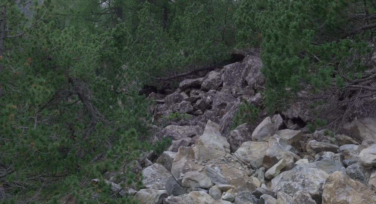 Pietra tenera screenshot 3
