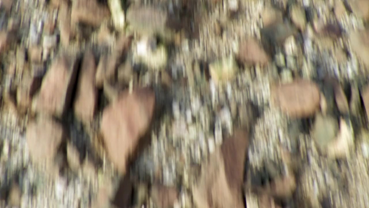 Pig screenshot 1