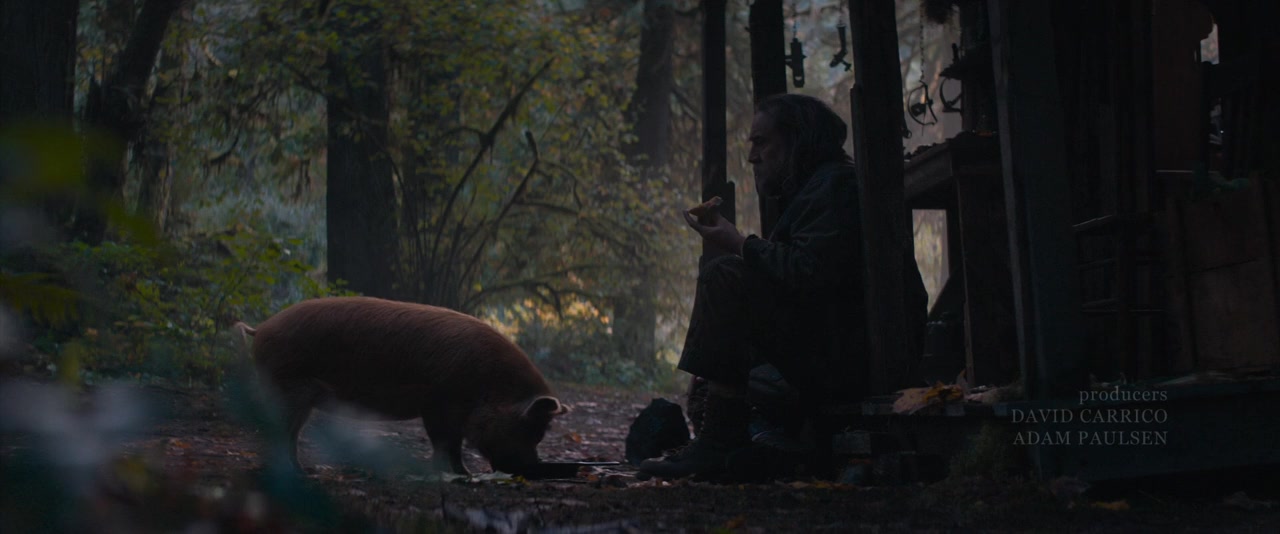 Pig screenshot 3