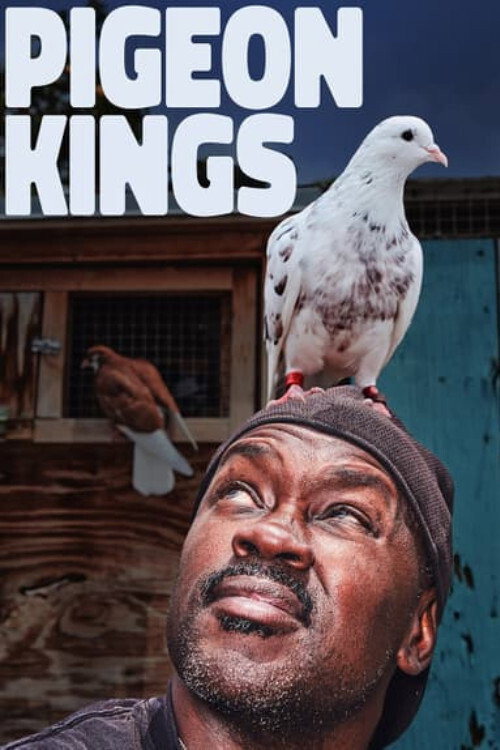 Pigeon Kings (2020) poster