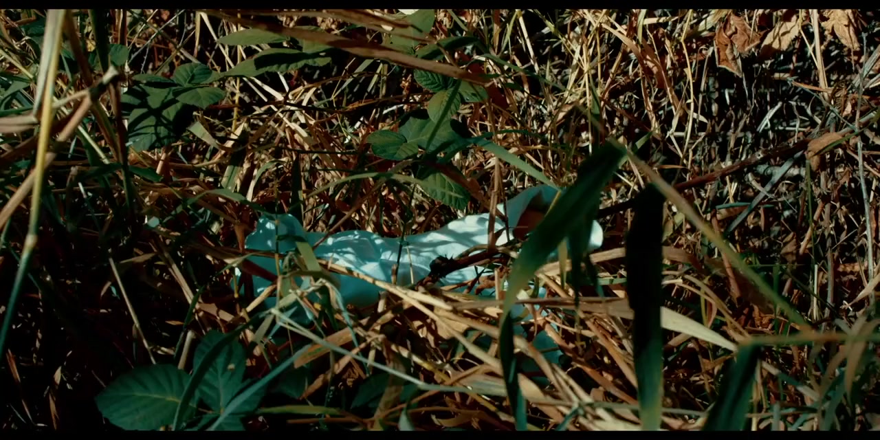 Piglady screenshot 2