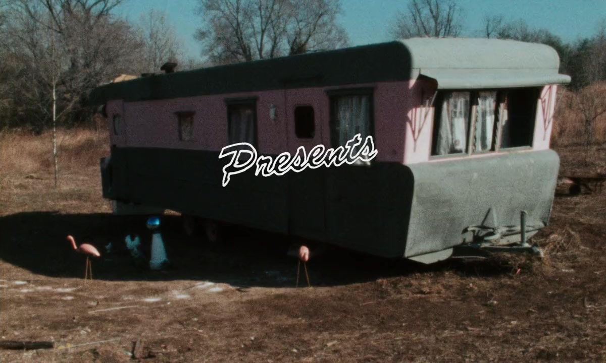Pink Flamingos screenshot 1
