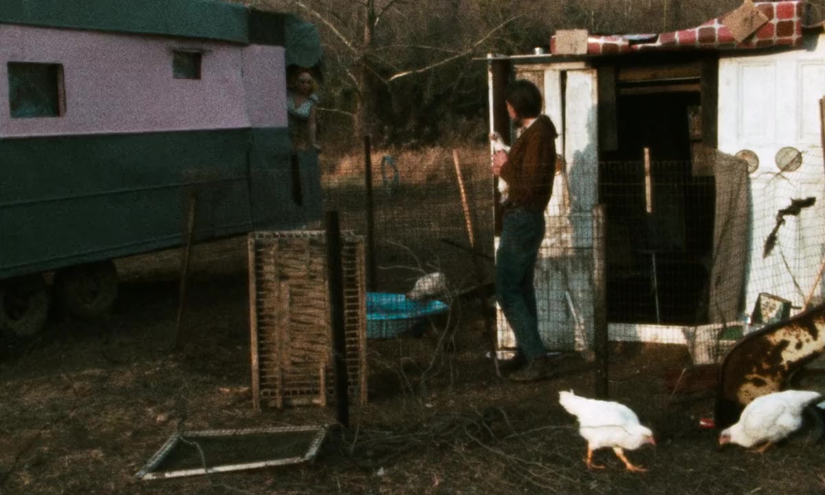 Pink Flamingos screenshot 2