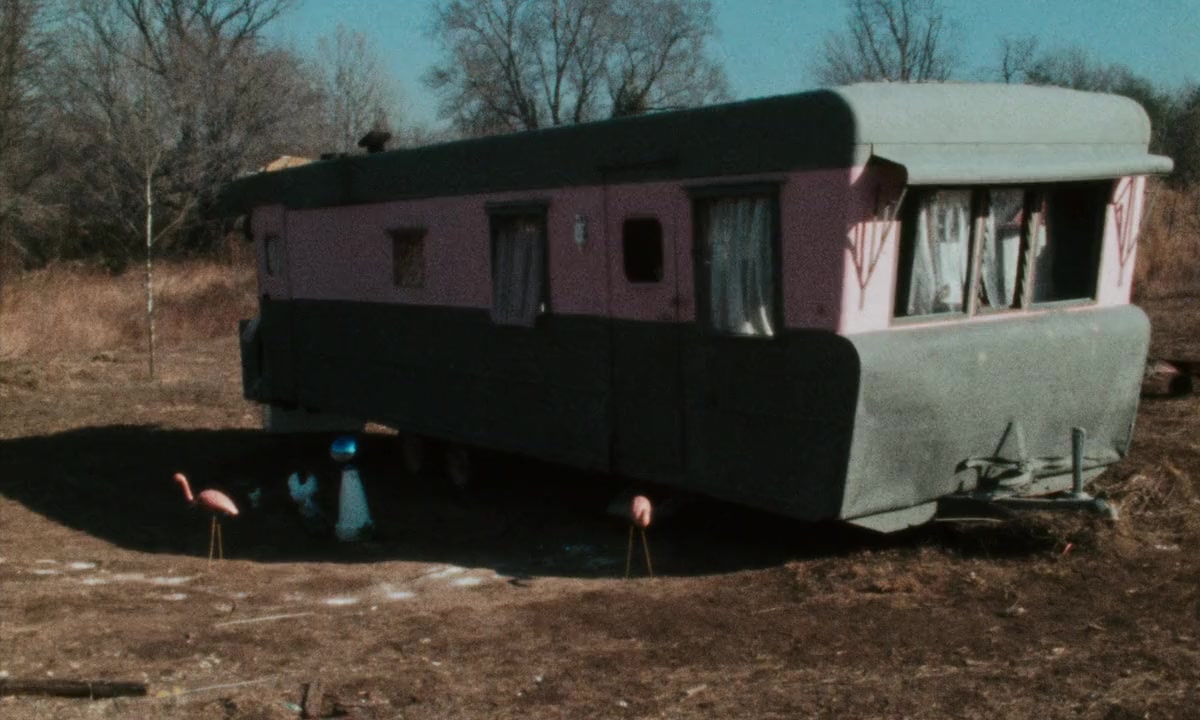 Pink Flamingos screenshot 3