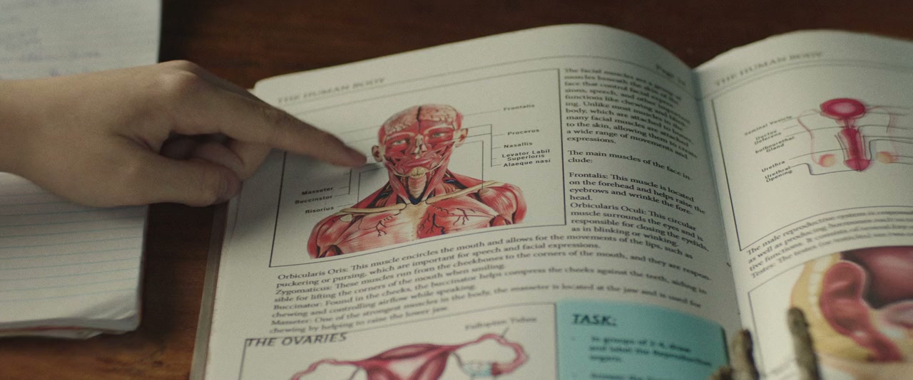 Pinocchio Unstrung screenshot 2